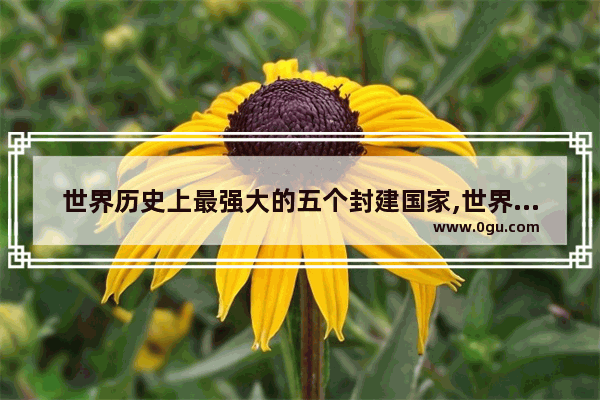 世界历史上最强大的五个封建国家,世界历史西亚