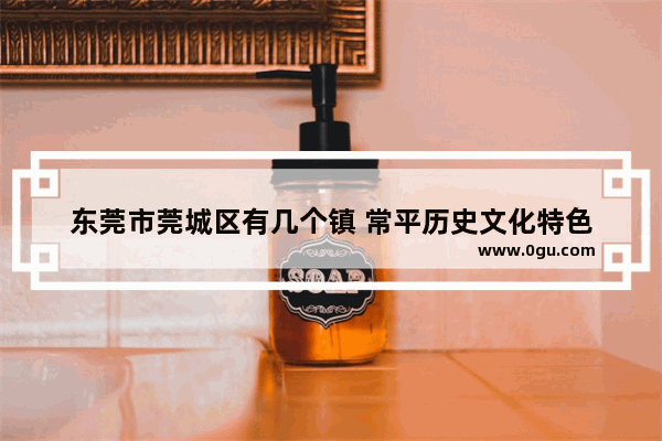 东莞市莞城区有几个镇 常平历史文化特色