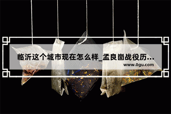 临沂这个城市现在怎么样_孟良崮战役历史故事视频