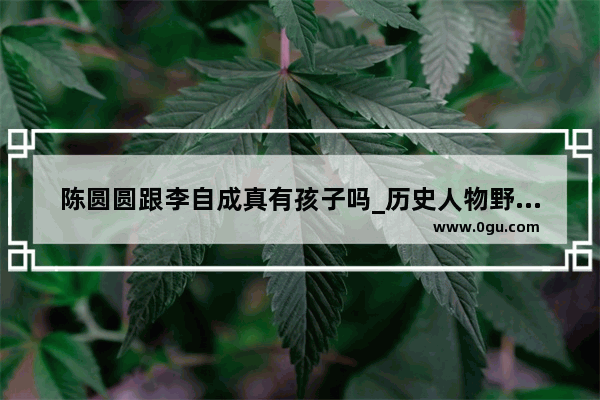 陈圆圆跟李自成真有孩子吗_历史人物野史李自成