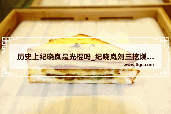 历史上纪晓岚是光棍吗_纪晓岚刘三挖煤矿是哪一集