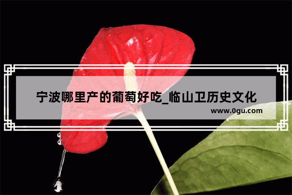 宁波哪里产的葡萄好吃_临山卫历史文化