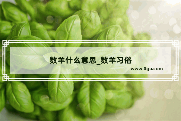 数羊什么意思_数羊习俗