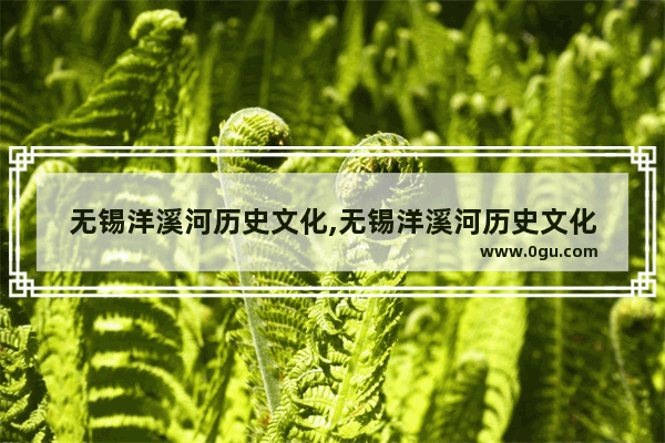 无锡洋溪河历史文化,无锡洋溪河历史文化