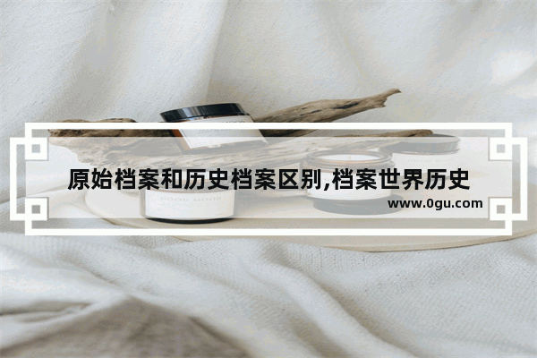 原始档案和历史档案区别,档案世界历史