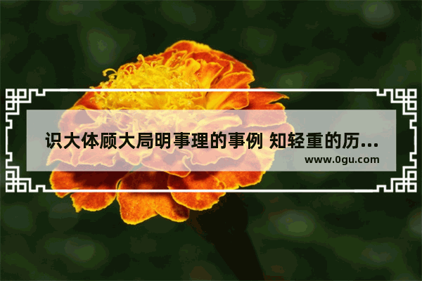 识大体顾大局明事理的事例 知轻重的历史人物