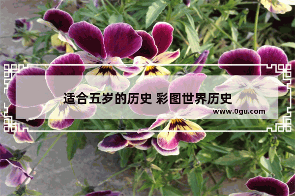 适合五岁的历史 彩图世界历史