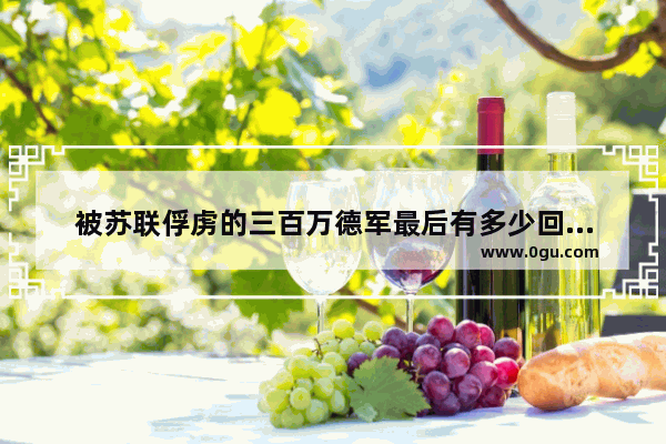 被苏联俘虏的三百万德军最后有多少回到德国_二战德军一共被俘多少人