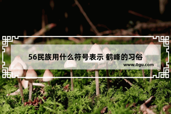 56民族用什么符号表示 鹤峰的习俗