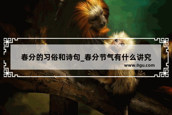 春分的习俗和诗句_春分节气有什么讲究