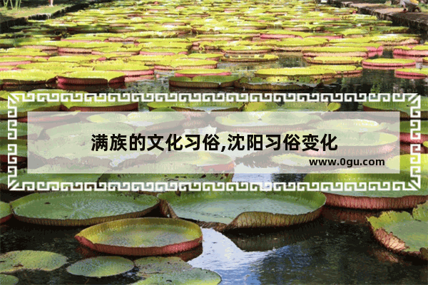 满族的文化习俗,沈阳习俗变化