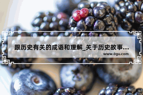 跟历史有关的成语和理解_关于历史故事成语大全