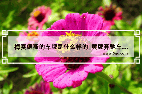梅赛德斯的车牌是什么样的_黄牌奔驰车是什么意思