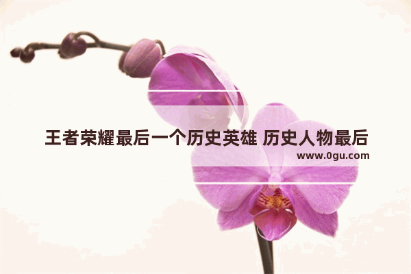 王者荣耀最后一个历史英雄 历史人物最后