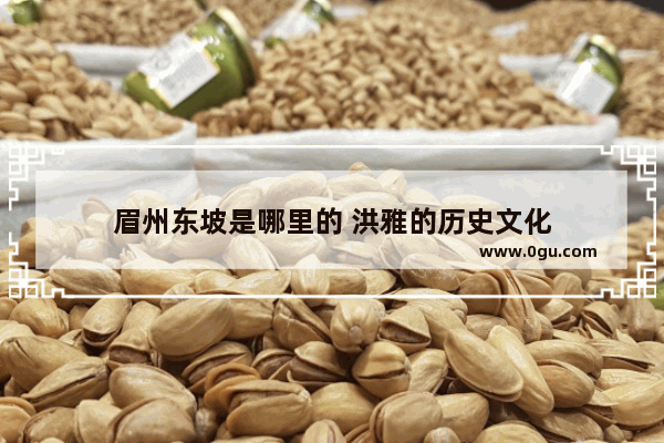 眉州东坡是哪里的 洪雅的历史文化