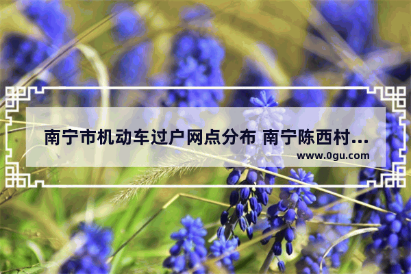 南宁市机动车过户网点分布 南宁陈西村历史文化