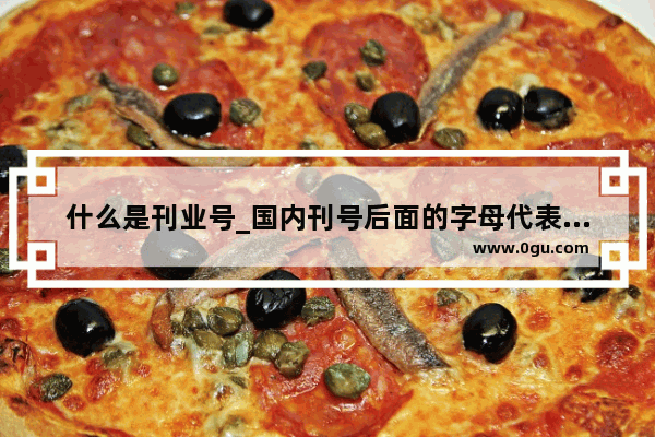 什么是刊业号_国内刊号后面的字母代表什么