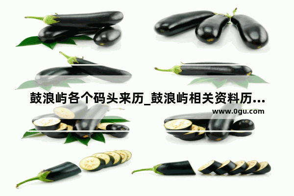鼓浪屿各个码头来历_鼓浪屿相关资料历史背景基本现状