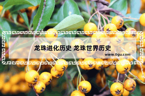 龙珠进化历史 龙珠世界历史
