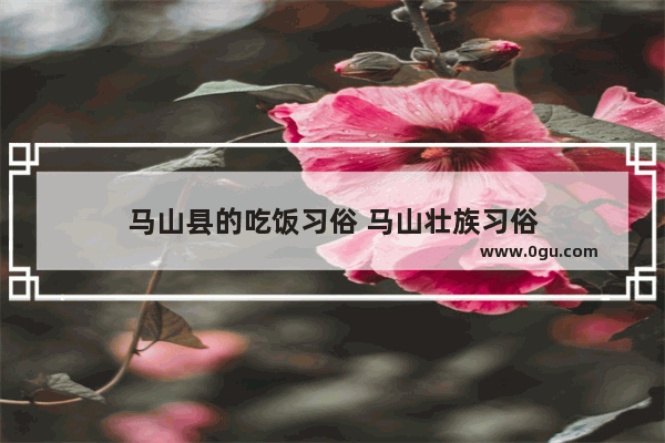 马山县的吃饭习俗 马山壮族习俗