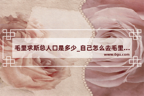 毛里求斯总人口是多少_自己怎么去毛里求斯