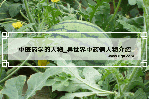 中医药学的人物_异世界中药铺人物介绍