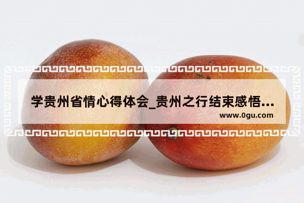 学贵州省情心得体会_贵州之行结束感悟短句