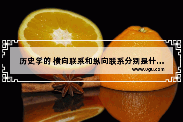 历史学的 横向联系和纵向联系分别是什么意思_1800年到1900年国外历史大事件