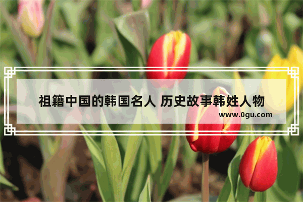祖籍中国的韩国名人 历史故事韩姓人物