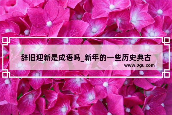 辞旧迎新是成语吗_新年的一些历史典古