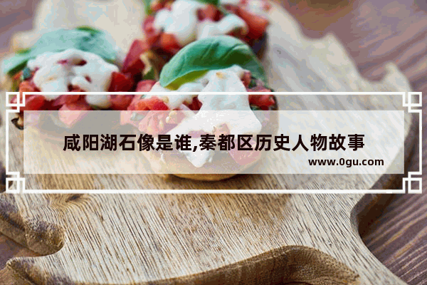 咸阳湖石像是谁,秦都区历史人物故事