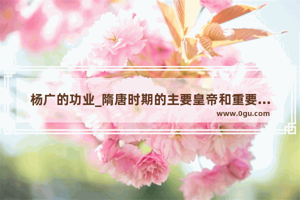 杨广的功业_隋唐时期的主要皇帝和重要事件