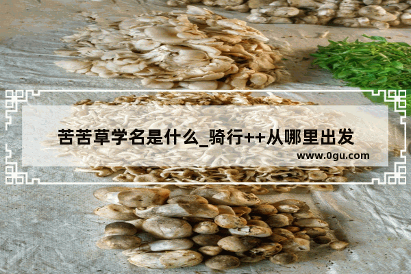 苦苦草学名是什么_骑行++从哪里出发