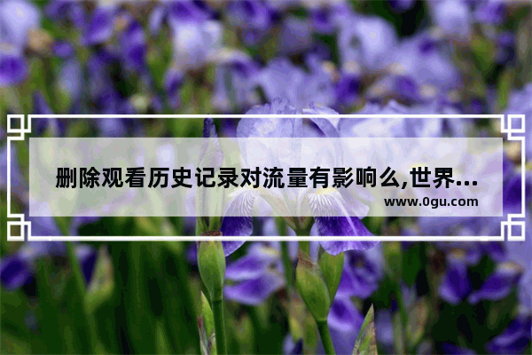 删除观看历史记录对流量有影响么,世界历史流量
