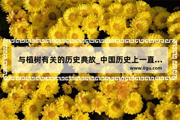 与植树有关的历史典故_中国历史上一直种树的人的故事