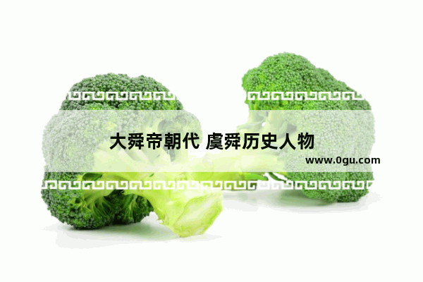 大舜帝朝代 虞舜历史人物