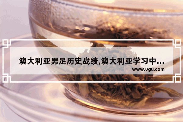 澳大利亚男足历史战绩,澳大利亚学习中国历史