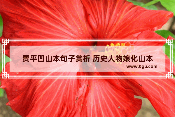 贾平凹山本句子赏析 历史人物娘化山本