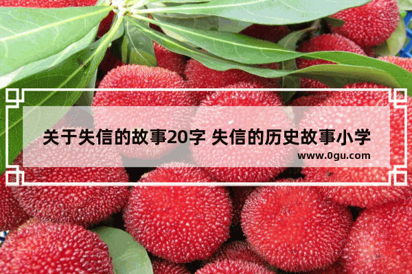关于失信的故事20字 失信的历史故事小学