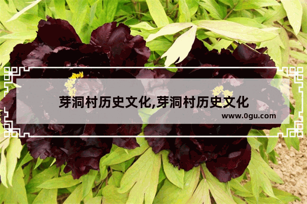 芽洞村历史文化,芽洞村历史文化