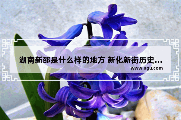 湖南新邵是什么样的地方 新化新街历史故事