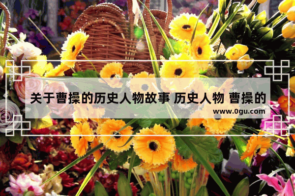 关于曹操的历史人物故事 历史人物 曹操的故事