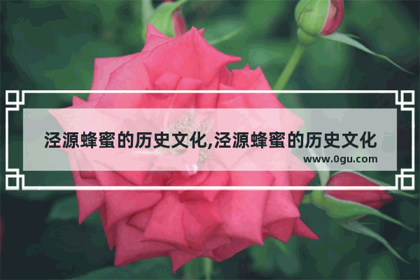 泾源蜂蜜的历史文化,泾源蜂蜜的历史文化