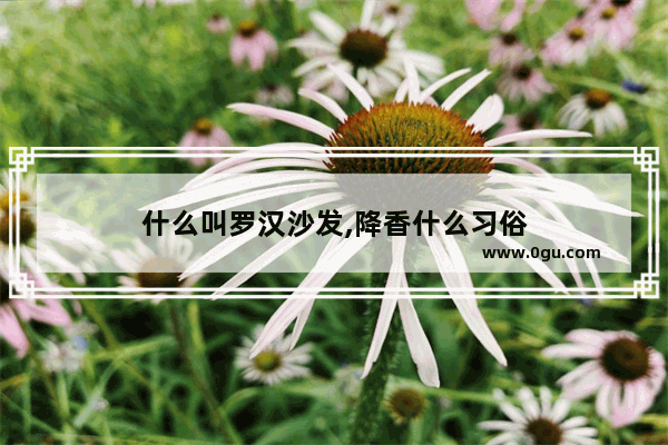 什么叫罗汉沙发,降香什么习俗