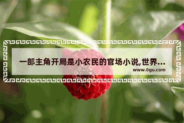 一部主角开局是小农民的官场小说,世界历史归来