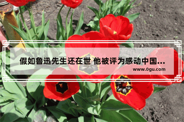 假如鲁迅先生还在世 他被评为感动中国人物 你怎样给他写颁奖词 世界健在的历史人物
