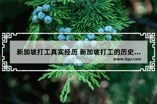 新加坡打工真实经历 新加坡打工的历史人物