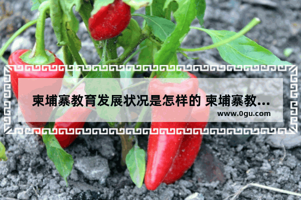 柬埔寨教育发展状况是怎样的 柬埔寨教育历史文化发展