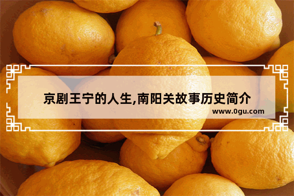京剧王宁的人生,南阳关故事历史简介