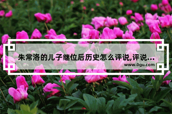 朱常洛的儿子继位后历史怎么评说,评说世界历史